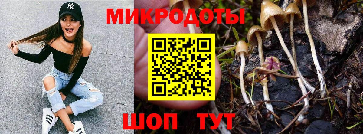 Псилоцибиновые грибы Cubensis  Вход с VPN  Усинск 