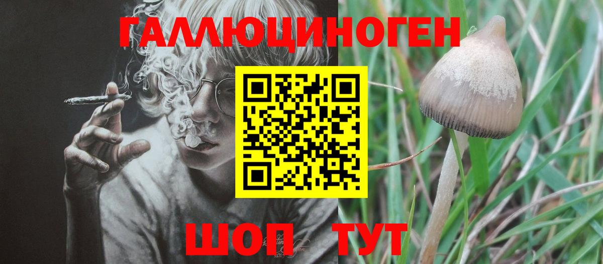 Галлюциногенные грибы мухоморы Усинск